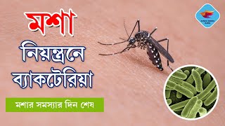 মশা নিয়ন্ত্রণে ব্যাকটেরিয়া || Bacteria in mosquito control