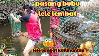 pasang bubu lele lembat di kalimantan sekali angkat isinya babon semua