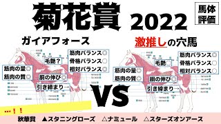 【菊花賞2022】ガイアフォース怪物の予感と同時に弾丸級の大波乱があってもおかしくないと思っています。【馬体評価】