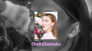 Cheli Chemaku [Slowed \u0026 Reverb] Song __ Aadavari Matalaku Arthale Verule Song