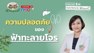 ความปลอดภัยของฟ้าทะลายโจร ต่อตับและไต l Podcastอภัยภูเบศร (2023)