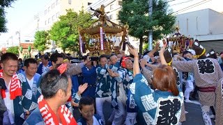 2016/10/16・小平市民まつり・大人神輿パレード