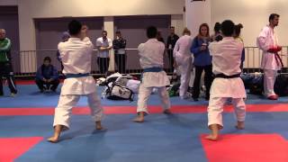 Japan Team Kata warming up - 2014 World Karate Championships | WORLD KARATE FEDERATION