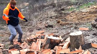 Hand Splitting A Rick Of Cherry Firewood