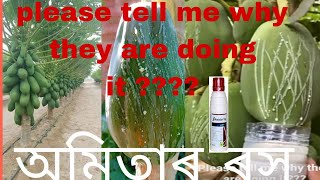 অমিতাৰ ৰস+ amistar top যিকোনো গছত spray কৰক গছৰ ফুল আৰু সৰি নপৰে। Amita kheti in Assam .