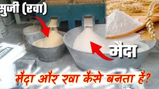 रवा और मैदा कैसे बनता है | Suji aur Maida kaise banta hai factory main hindi