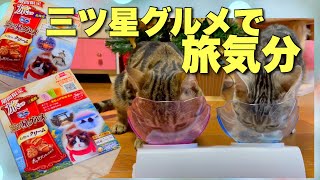 三ツ星グルメで旅する猫たちがこちらです【キャットフード】