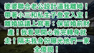 婆婆聯合老公設計逼我離婚！帶著小三和私生子登堂入室！離婚協議上寫著：保留婚前財產！我看見開心簽完轉身就走！隔天我身份曝光他們一家全傻眼！