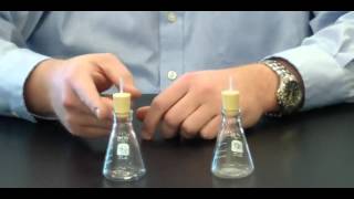 The Mole Lab