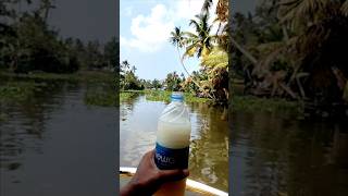 Kobbari Kallu 🍹🌴 in Alleppey Backwaters 🚤✨  #KobbariKallu #NatureDrink #Alleppey #ecoliving