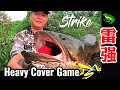 (EP60)雷区扫一扫，呆呆剩多少？Heavy Cover Game, Common Snakehead, Haruan.