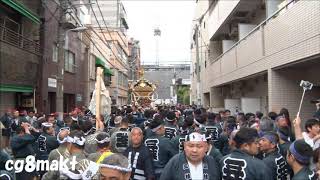 平成30 年 鳥越神社例大祭（鳥越祭） 三桂町会 本社神輿渡御