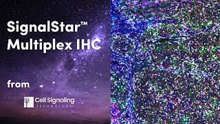 Spatial Biology Has a New Star: SignalStar™ Multiplex IHC | Cell Signaling Technology