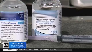 LA Department of Public Health issues warning about Xylazine