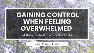 A Guided Exercise for Gaining Control When Feeling Overwhelmed with Dr. Kate Truitt