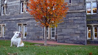 Fall at Georgetown University