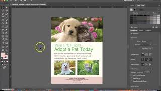 Pet Adoption Flyer Design