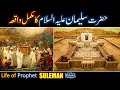 Hazrat Suleman (As) Ka Waqia | Prophet Suleman As life Story in Urdu | All Life Events In Detail