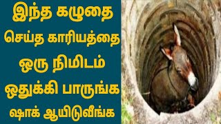 விவசாயி வீட்டில் வளர்த்த கழுதை செய்த காரியத்தை பாருங்க | உண்மையான அன்பு