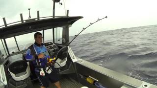 Marlin caught fishing solo at bermagui