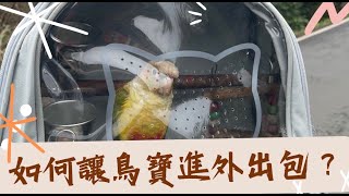 看到外出包像看到鬼？！如何讓鳥寶願意進外出包與選購外出包四大建議！ #鳳梨小太陽 #鸚鵡 #外出包 #寵物 #新年 #新年快樂