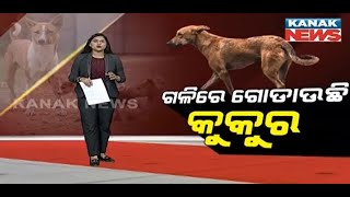 Damdar Khabar: Chaos Of Stray Dogs In Bhubaneswar | Startling Numbers