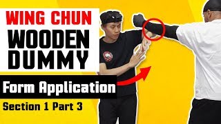 Wing Chun Wooden Dummy Training Form Application Section 1 - Part 3