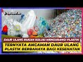 Memakai Plastik Hasil Daur Ulang Berbahaya?