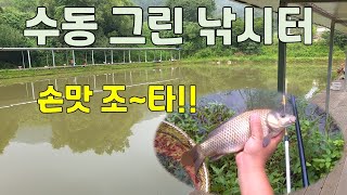 꿀조사 #54 남양주 수동 그린 낚시터 (올림 낚시)