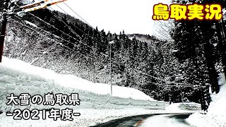 【雪景色】鳥取の大雪 2021【鳥取実況】