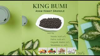 TESTIMONI ASAM HUMAT GRANULE KING BUMI