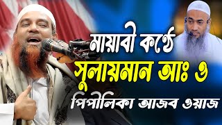 মায়াবী কষ্ঠে সুলাইমান আঃ ও পিপীলিকার আজব ওয়াজ। আব্দুল মান্নান ওসমানী দ্বিতীয় মোস্তাকুন্নবী সাহেব