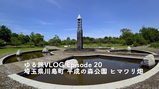 【ゆる旅VLOG】埼玉県川島町平成の森公園 (Slow Trip Vlog episode 020)