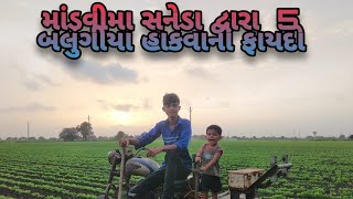 સનેડા દ્વારા 5 બલુગીયા હાકયા || 20 ઝારી||નંદી||બલુન હાકવાનો ફાયદો#jayeshdangar @jayeshdangarvlogs09