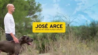 José Arce - Individuelle Wege zum perfekten Mensch-Hund-Team - Arce's Praxisbuch - GU Verlag