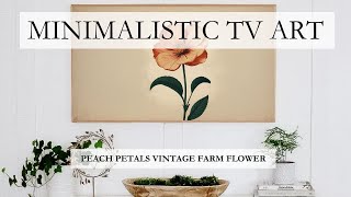 Peach Petals Vintage Farm Flower Screensaver | 1 Hour of Silence | Minimalism