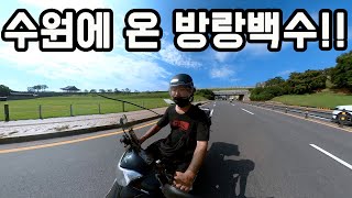 방랑백수가 수원에 왔습니다~!!/수원화성/수원통닭거리/수원통닭골목