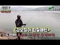 훅킹tv 워킹갑오징어낚시 한방에 알려드립니다. cuttlefish fishing