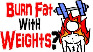 Weight Training VS Low Intensity Cardio  - Best Way to Burn Fat?