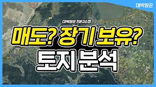 [대박땅꾼] 보유토지 매도? 장기보유? 토지 전망 / 17년 토지전문가