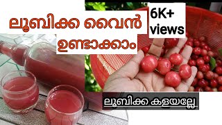 How to make loobikka wine/ലൂബിക്ക ഉണ്ടെങ്കിൽ കളയല്ലേ... കിടിലം tasteൽ wine ഉണ്ടാക്കാം.#loobikkawine#