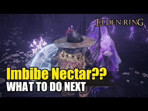 Should you drink nectar in the Elden Ring Shadow of the Erdtree?