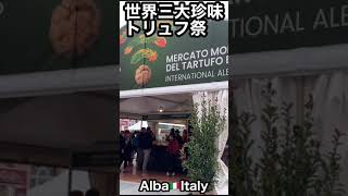 動画最後に32万円のお化けトリュフ登場！一見の価値有り【イタリアVlog】極上グルメの旅「ピエモンテ州アルバのトリュフ祭」に行ってみた#shorts