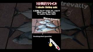 魚の捕食スイッチを入れる脅威のルアー紹介予告編 #fishing