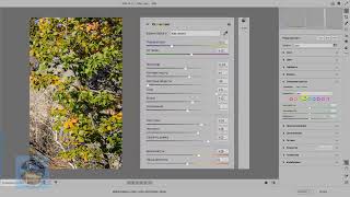 Обновленная Camera Raw 16 0  Обзор новинок  Стоит устанавливать или нет