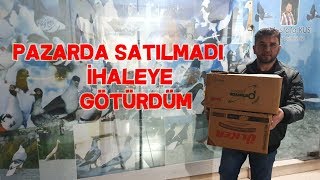 Pazarda Satılmadı İhaleye Götürdüm