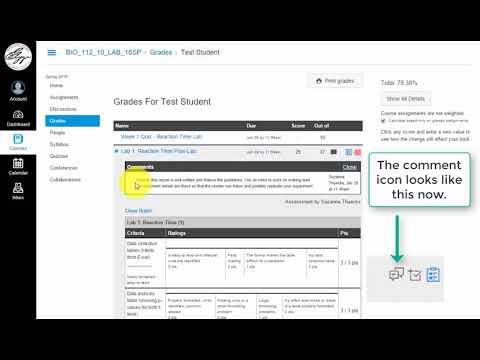 Viewing Instructor Feedback On Canvas For Students - YouTube