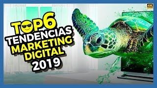 TOP 6 TENDENCIAS de MARKETING DIGITAL para 2019