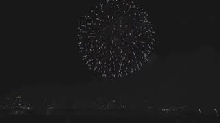 ［公式］第30回記念大会 なにわ淀川花火大会　Naniwa Yodogawa Fireworks Festival