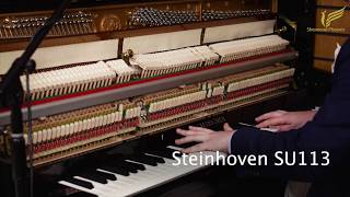 Steinhoven Upright Piano Comparison (SU131, SU112, SU113) at Sherwood Phoenix